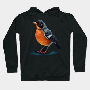 American Robin Smiling Hoodie